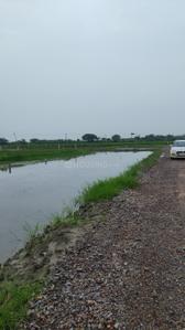 Image of 50 Sq.ft Residential Plot / Land for sale in Silani, Gurgaon for Rs. 750000
