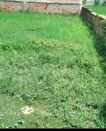 Danganj Main Image 1