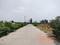 Amolik Aster Woods Internal Roads 2