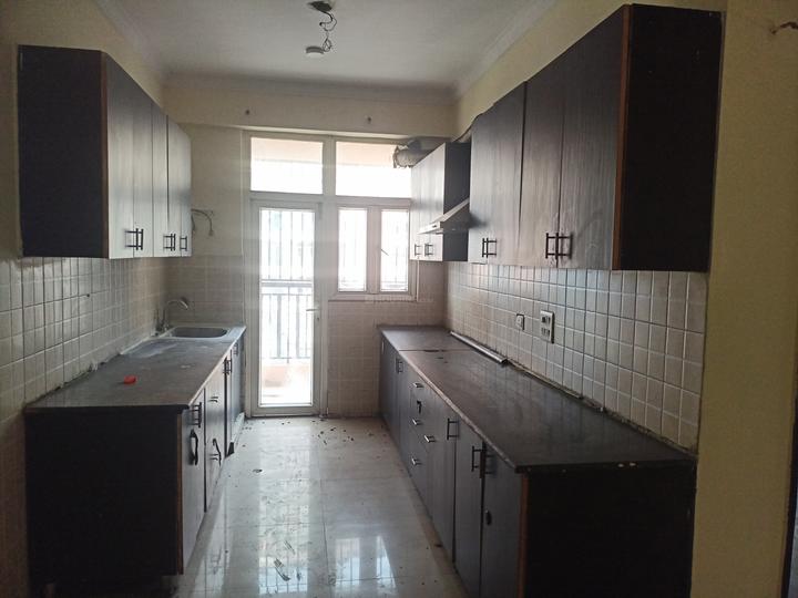 Saviour Greenisle Main Image 1