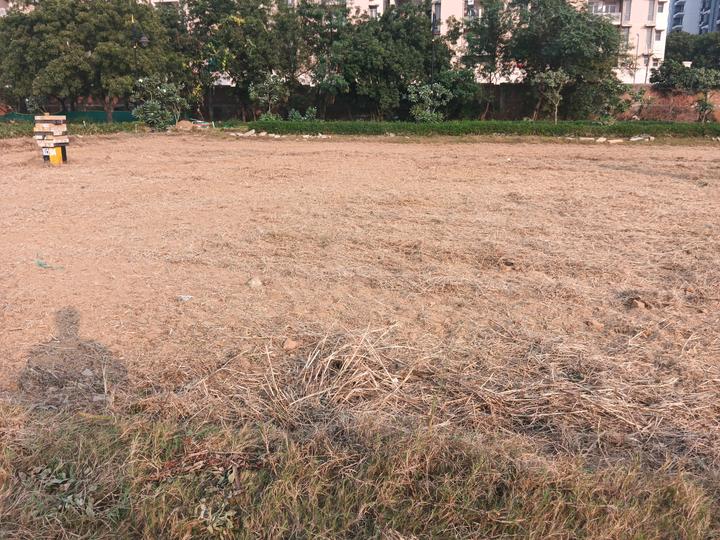 Betterchoice Vanya City Main Image 1