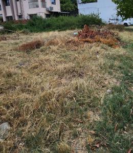 Image of 144 Sq.ft Residential Plot / Land for sale in Koba, Gandhinagar for Rs. 11500000
