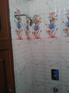 Bathroom Image of 1000 Sq.ft 2 BHK Apartment / Flat for rent in Gopal Pura Agra for Rs. 9000