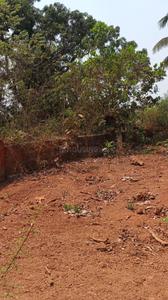 Image of 500 Sq.ft Residential Plot / Land for sale in Chorao, Goa for Rs. 11500000