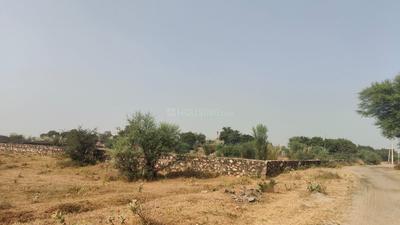 Image of 2952 Sq.ft Residential Plot / Land for sale in Jagatpura, Jaipur for Rs. 19680000