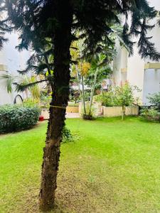 Image of 600 Sq.ft 1 BHK Apartment / Flat for rent in Sangamvadi, Pune for Rs. 35000