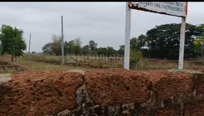 Padhansahi Plot View 2