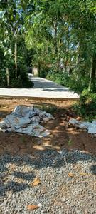 Image of 21780 Sq.ft Residential Plot / Land for sale in Aryad South, Alappuzha for Rs. 400000