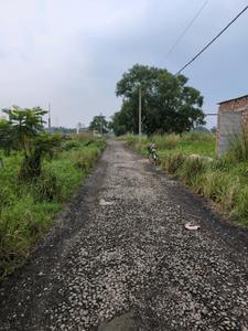Wander Valley Internal Roads 2