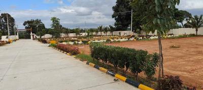 Plot View