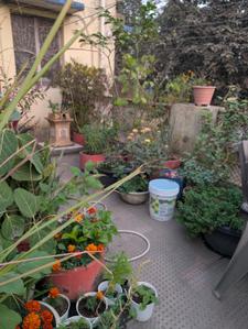 Balcony Image of 2400 Sq.ft 10 BHK Independent House for sale in Sindhya Nagar Durg for Rs. 8000000