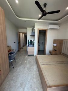 Hall Image of 1000 Sq.ft 1 RK Builder Floor for rent in Sector 55 Gurgaon for Rs. 30000