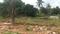 Mummy Daddy Layout Plot View 2