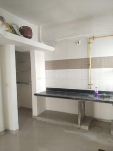 Kitchen Image of 1305 Sq.ft 2 BHK Apartment / Flat for rent in Shyam Shukan, Bhaijipura Gandhinagar for Rs. 22000