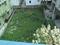 Arjunpur, K.B.Sarani Plot View 2