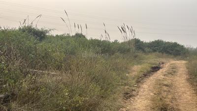 Image of 900 Sq.ft Residential Plot / Land for sale in Dadri, Greater Noida for Rs. 3000000
