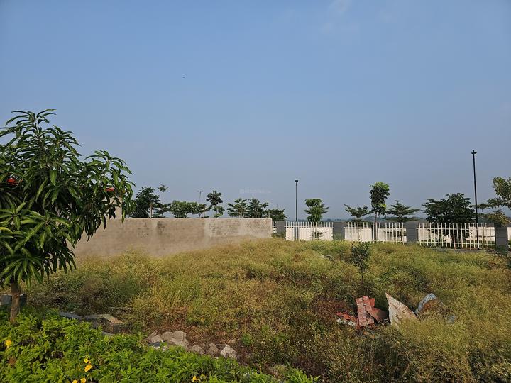 Uruli Kanchan Main Image 1