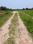Natures Paradise Internal Roads 1