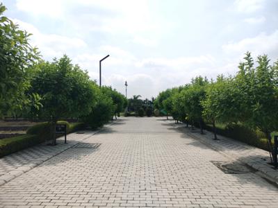 Image of 140 Sq.ft Residential Plot / Land for sale in Mansha Oaks, Sector 98, Faridabad for Rs. 17500000