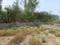 Hinjawadi Phase 2 Plot View 2
