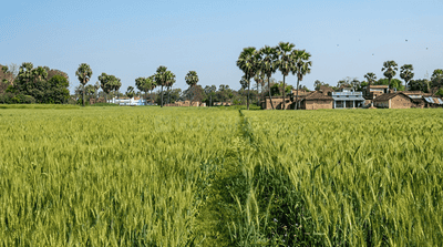 Image of 12250 Sq.ft Residential Plot / Land for sale in Bakhtiarpur, Patna for Rs. 5400000