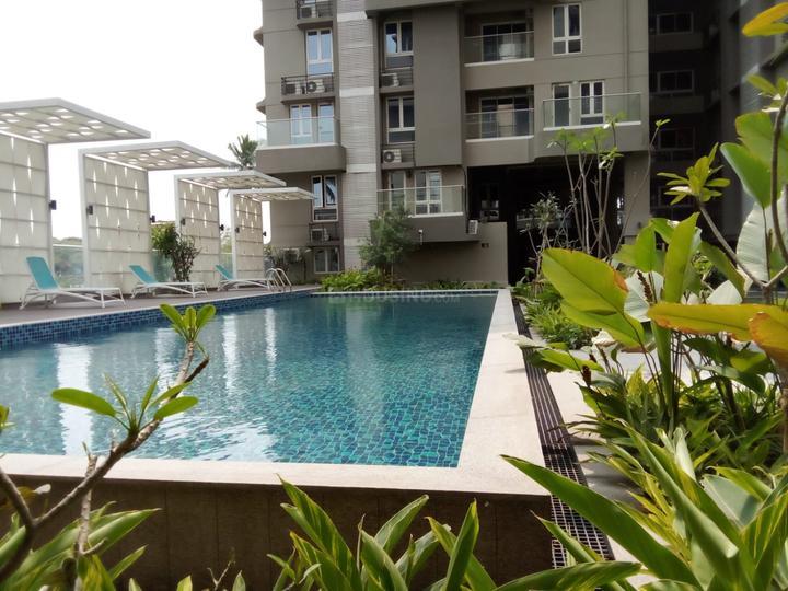 Merlin Verve Main Image 1