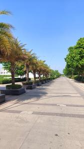 Image of 250 Sq.ft Residential Plot / Land for sale in New Chandigarh, Chandigarh for Rs. 23800000