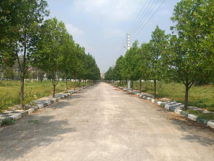 Golden City Main Image 1