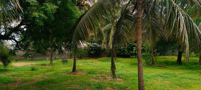Image of 6000 Sq.ft Residential Plot / Land for sale in Injambakkam, Chennai for Rs. 62500000
