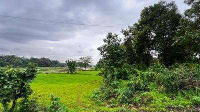 Image of 87120 Sq.ft Residential Plot / Land for sale in Murbad, Thane for Rs. 12000000