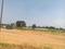 Thimmapur Plot View 2