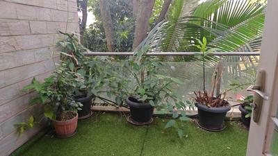Balcony Image of 3240 Sq.ft 3 BHK Independent House for sale in Hebbal Kempapura Bengaluru for Rs. 55000000