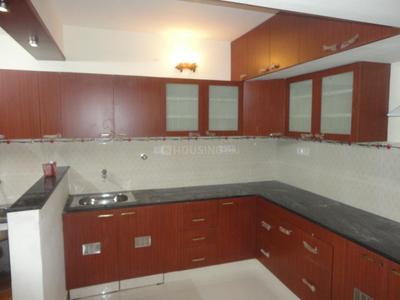 Kitchen Image of 1650 Sq.ft 3 BHK Apartment / Flat for rent in Adyar Chennai for Rs. 70000