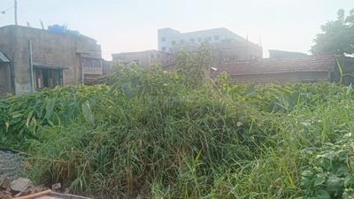 Belur Math Plot View 1
