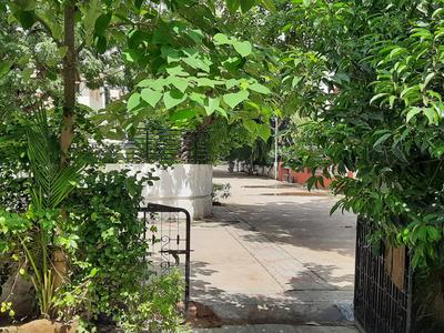 Balcony Image of Aavkar pg in Navrangpura, Ahmedabad