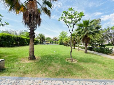 Image of 1890 Sq.ft Residential Plot / Land for sale in Omaxe Chandigarh Extension Plot, New Chandigarh, Chandigarh for Rs. 21000000