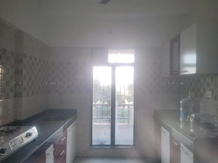 Cosmos Legend Main Image 1