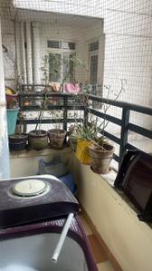Balcony Image of 1100 Sq.ft 2 BHK Apartment / Flat for rent in Stellar MI Citihomes, Omicron III Greater Noida for Rs. 20000