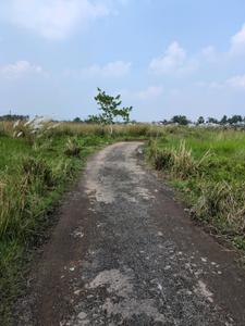 Wander Valley Internal Roads 1