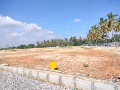 Residential Plot