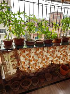 Balcony Image of 1070 Sq.ft 3 BHK Apartment / Flat for sale in Konnagar Hooghly for Rs. 3500000