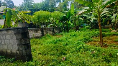 Image of 3484 Sq.ft Residential Plot / Land for sale in Angamaly, Kochi for Rs. 2600000