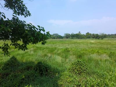 Residential Plot