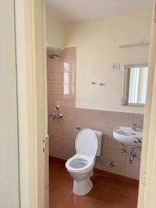 Image of 953 Sq.ft 2 BHK Apartment / Flat for rent in Jaypee Aman, Sector 151, Noida for Rs. 20000