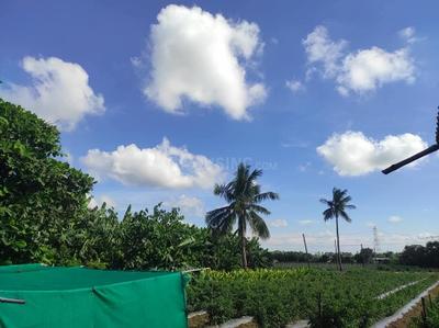 Image of 12000 Sq.ft Residential Plot / Land for sale in Mandir Hasaud, Raipur for Rs. 13800000