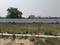 Royal Paradise Plot View 2