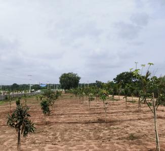 Image of 600 Sq.ft Residential Plot / Land for sale in Bibinagar, Yadadri Bhuvanagiri for Rs. 3300000
