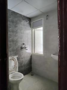 Common Bathroom Image of 755 Sq.ft 2 BHK Apartment / Flat for rent in Amrapali Dream Valley 2, Noida Extension Greater Noida for Rs. 14000