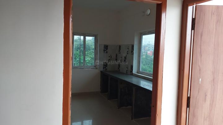 Oro Palm Main Image 1