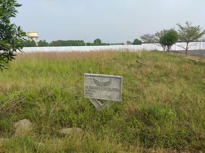 Lam Plot View 1